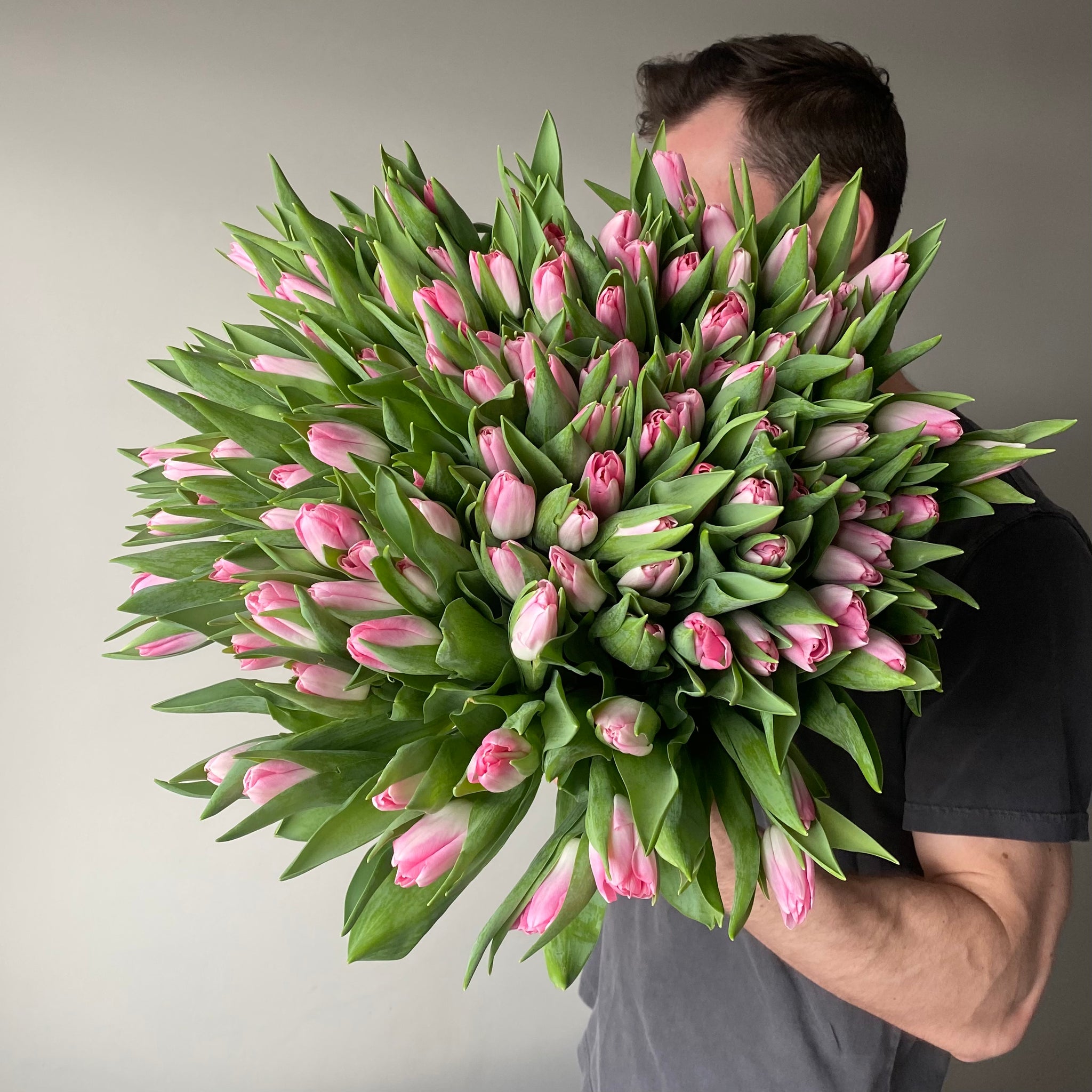 Light pink tulips