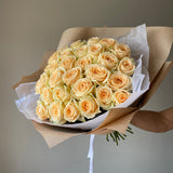 Apricot Classic Roses