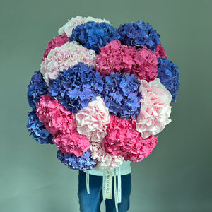 Colourful Hydrangea Mix