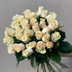 Creamy Classic Roses