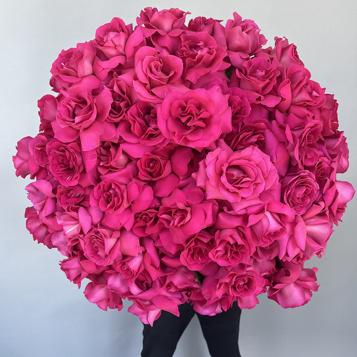 Gigantic Dark Pink Roses