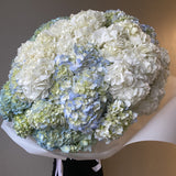 Hydrangea Waves