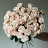 Light Pink Peonies Spray Roses