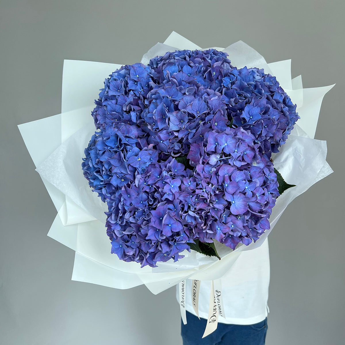 Navy Hydrangea