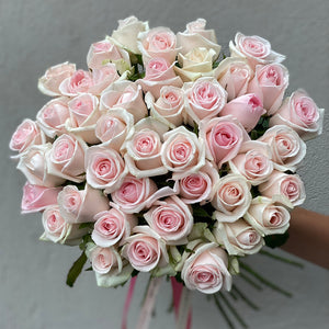 Pink Classic Roses