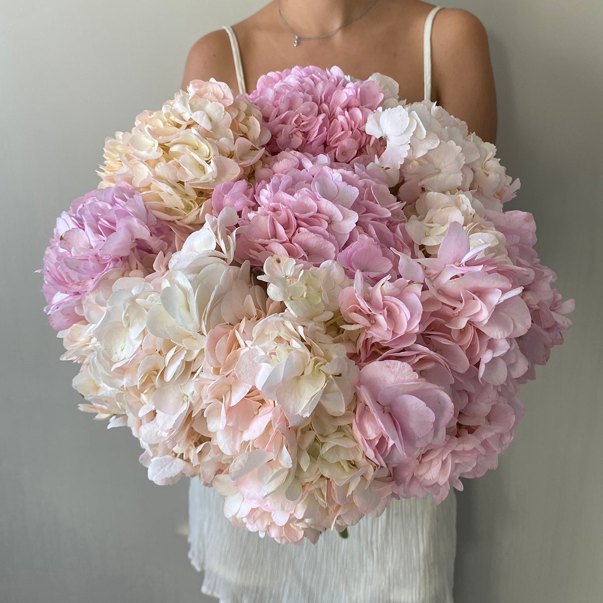 Pink Mix Hydrangea