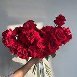 Red Gigantic Roses