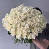 White Classic Roses