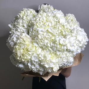 White Hydrangea