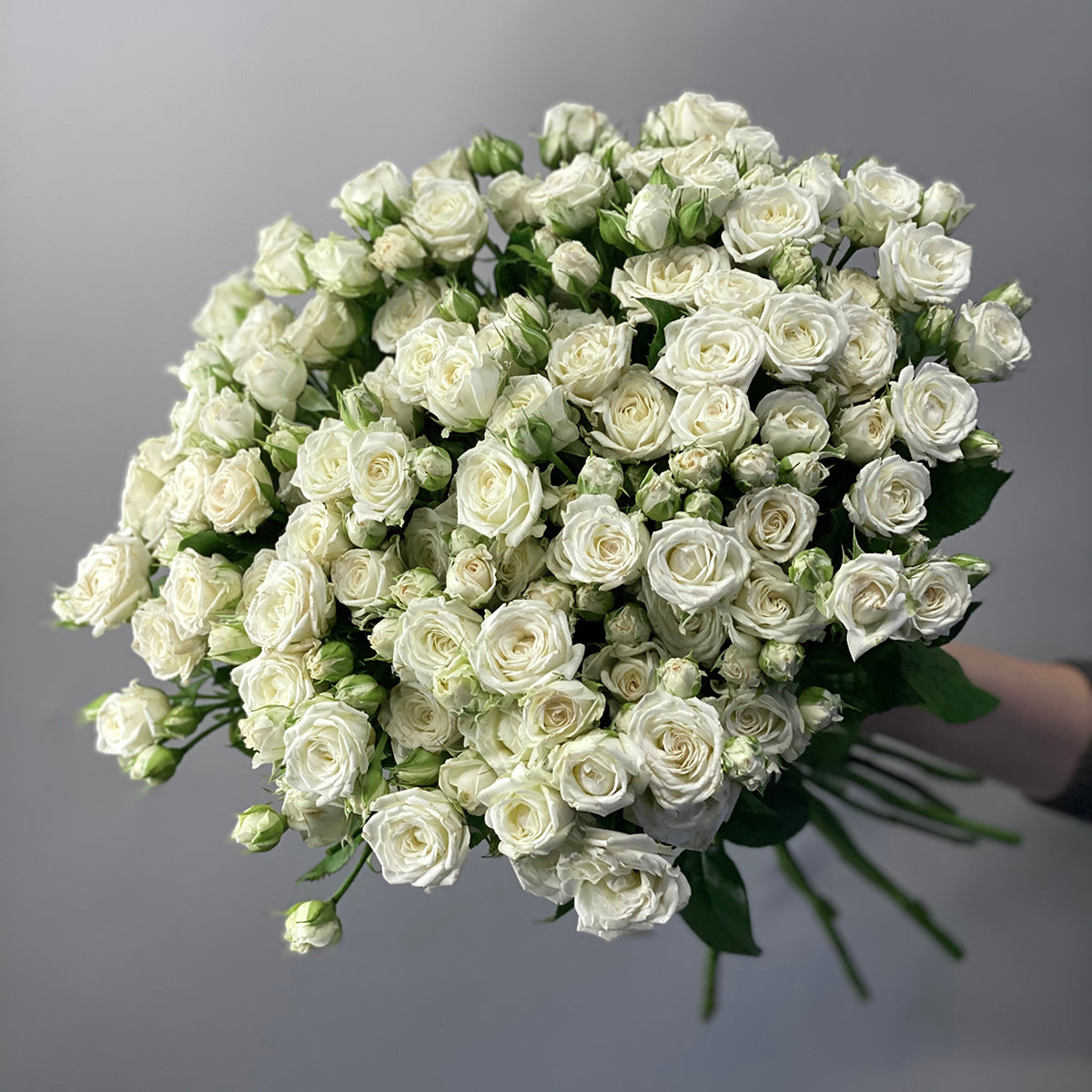 White Spray Roses