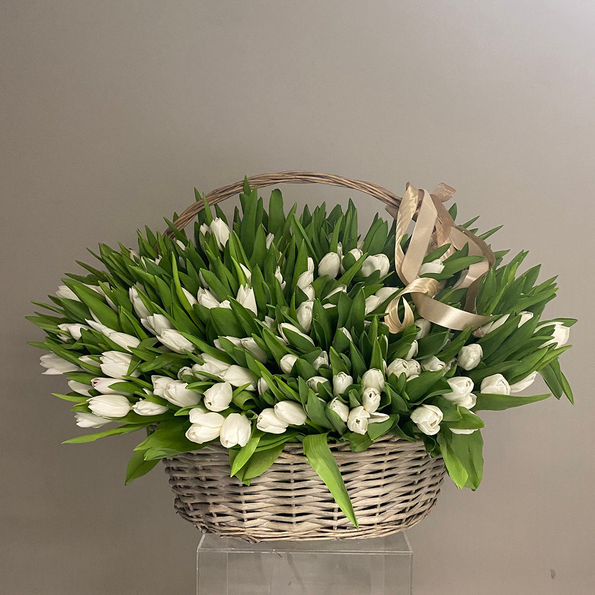 White Tulips