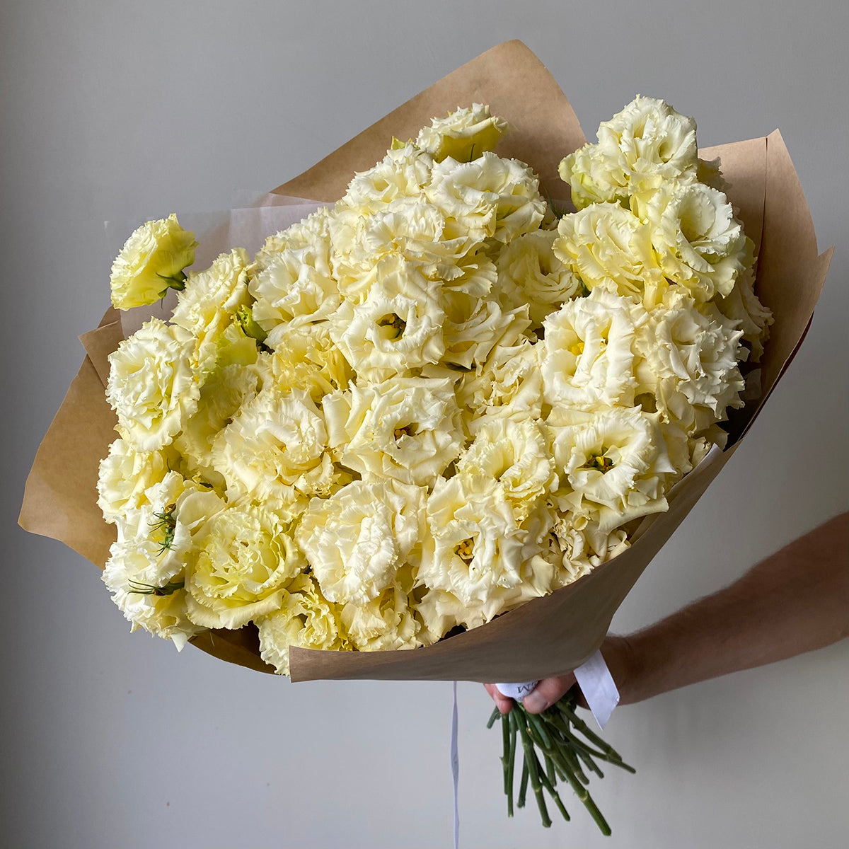 Yellow Eustoma